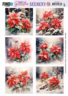 Scenery - Poinsettia 4K.